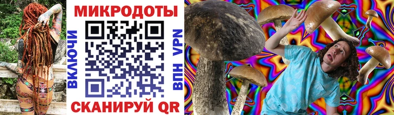 Псилоцибиновые грибы мухоморы  Фрязино 
