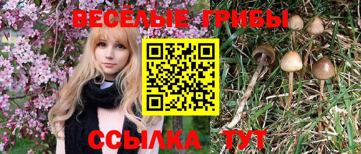 Галлюциногенные грибы мицелий Фрязино