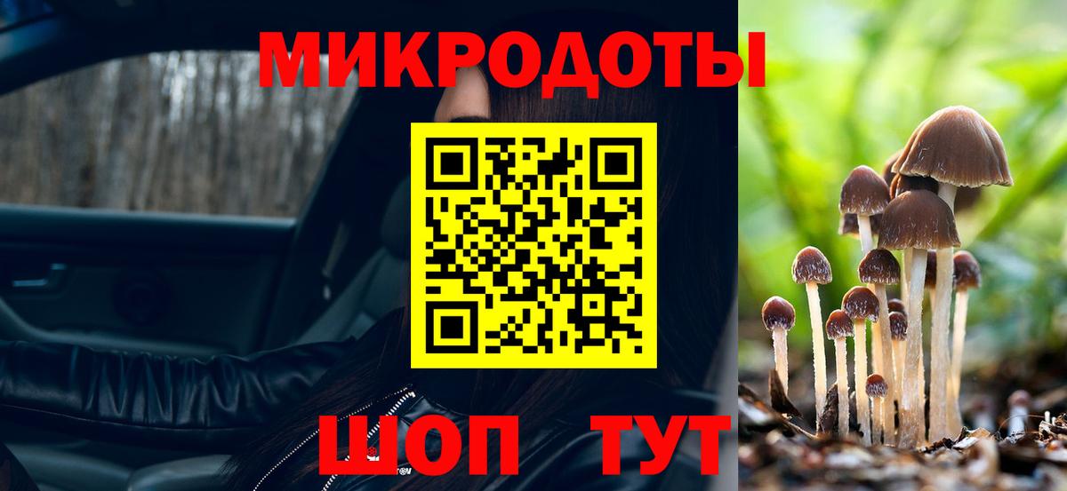 Галлюциногенные грибы мухоморы  Фрязино  Псилоцибиновые грибы прущие грибы 